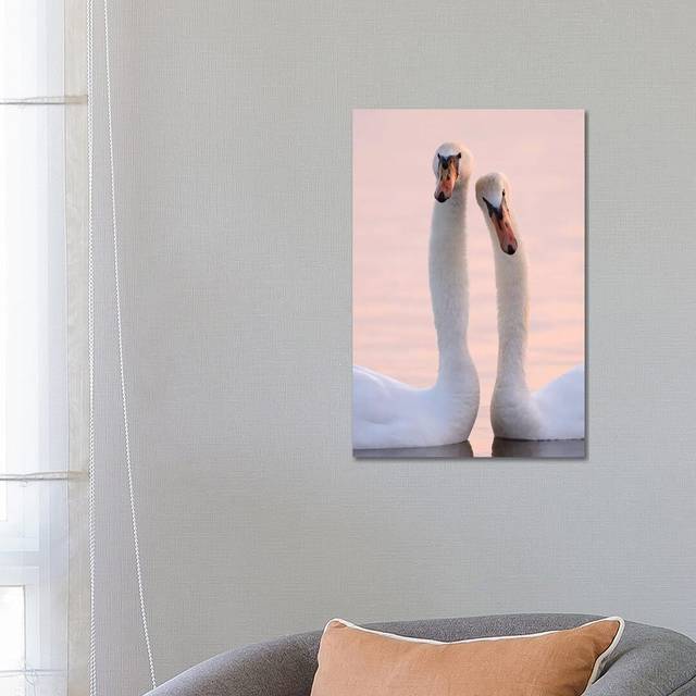 Mute Swans by Elmar Weiss - Wrapped Canvas Painting (66.04cm H X 45.72cm W)
