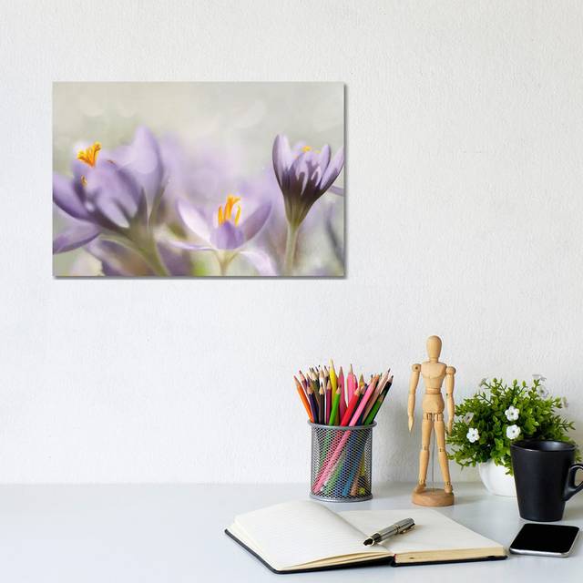 Spring Flowers by Heidi Westum - Wrapped Canvas Art Prints (20.32 cm H x 30.48 cm W)