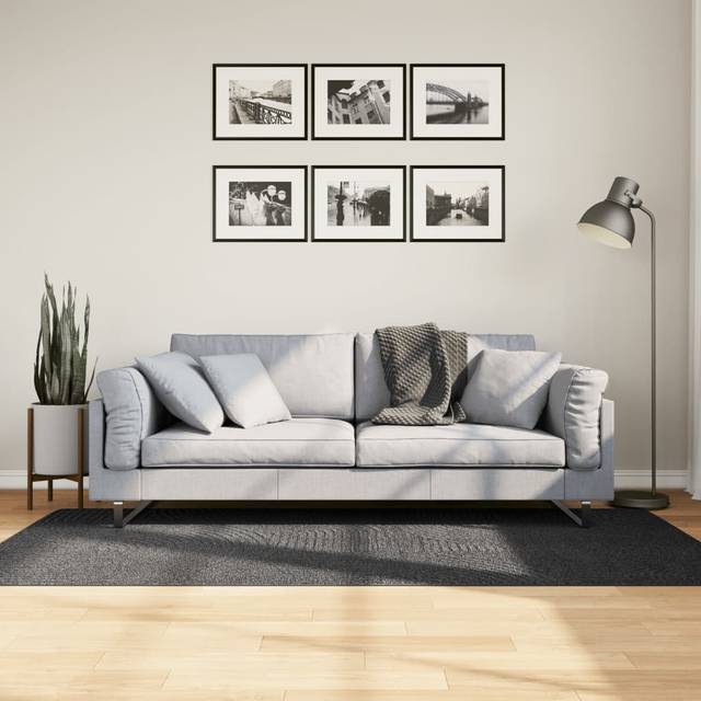 (anthracite, 100200 cm) vidaXL Rug Fluffy Rug Floor Carpet Area Rug IZA Short Pile Scandinavian Look