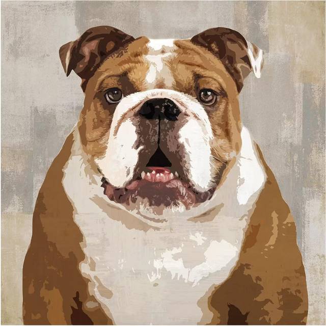 Bulldog by Keri Rodgers - Wrapped Canvas Art Prints (93.98 cm H x 93.98 cm W x 1.91 cm D)