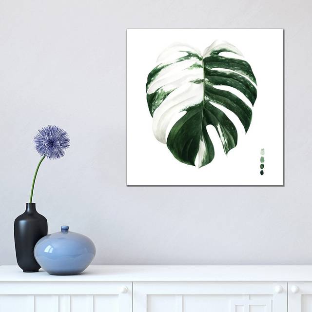 Variegated Monstera II by Grace Popp - Wrapped Canvas Art Prints (45.72 cm H x 45.72 cm W)