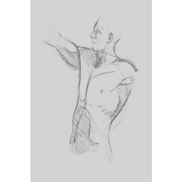 Male Torso Sketch IV by Jacob Green - Wrapped Canvas Drawing Print (46cm H x 30cm W)
