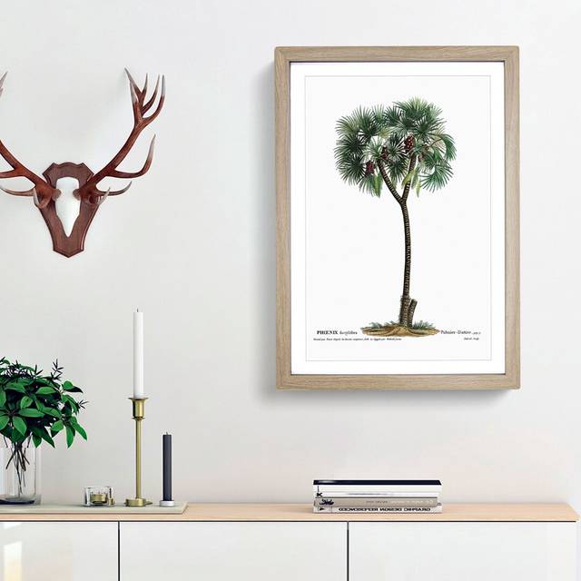Date Palm Tree by Pierre-Joseph Redoute - Picture Frame Painting Print - Oak Framed (48cm H x 36cm W x 2cm D)