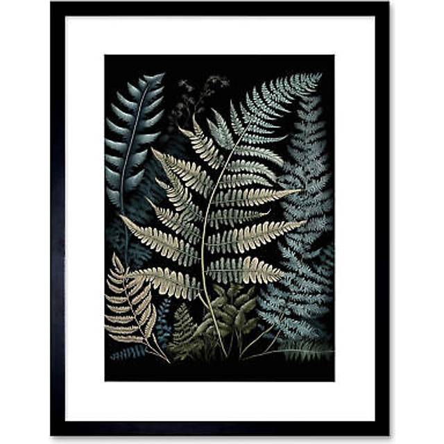 Wall Art Print Fern Frond Species Detailed Botanical Artwork Framed 9X7 Inch - Black - W7 inch x H9 inch