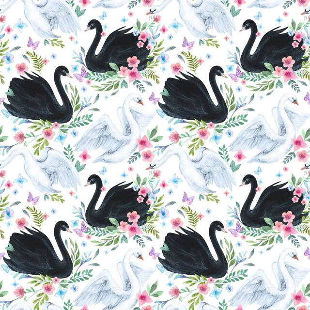 Watercolour White And Black Swan - Wrapped Canvas Art Prints - Blue;Black;White;Green;Pink (30cm H x 30cm W x 3.8cm D)
