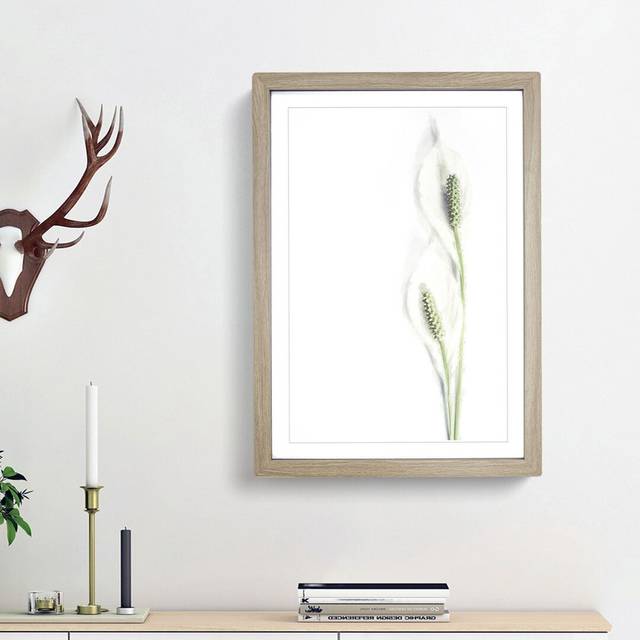 Pair of White Peace Lilies - Picture Frame Graphic Art Print - Oak Framed (36cm H x 27cm W x 2cm D)