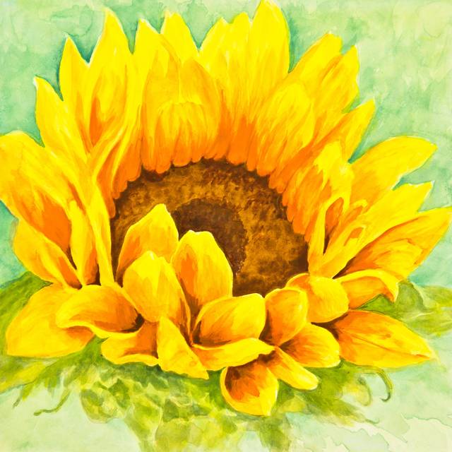 Spartansburg Sunflower by LynneAlbright - Wrapped Canvas Painting (76cm H x 76cm W x 3.8cm D)