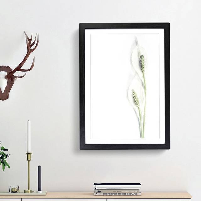 Pair of White Peace Lilies - Picture Frame Graphic Art Print - Black Framed (36cm H x 27cm W x 2cm D)