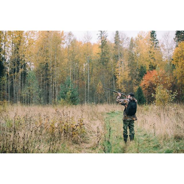 Male Hunter in the Woods - Wrapped Canvas Photograph (51cm H x 76cm W x 3.8cm D)