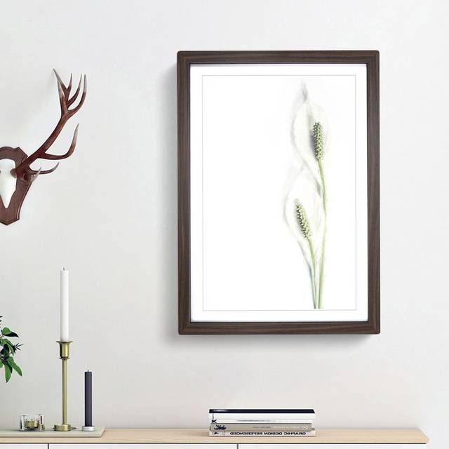 Pair of White Peace Lilies - Picture Frame Graphic Art Print - Walnut Framed (36cm H x 27cm W x 2cm D)