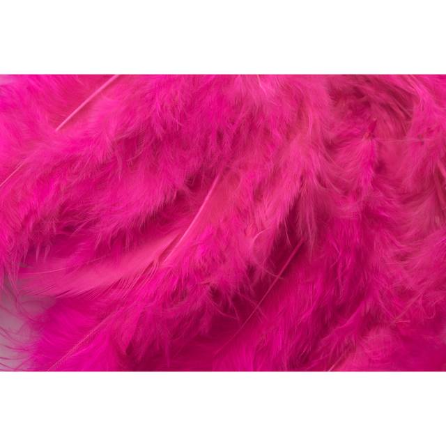 Gamez Pink Feathers Background - Wrapped Canvas Photograph (51cm H x 76cm W x 3.8cm D)