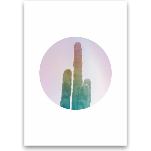 Circular Cacti - Graphic Art Print on Paper - No Framed (42cm H x 29.7cm W x 4cm D)
