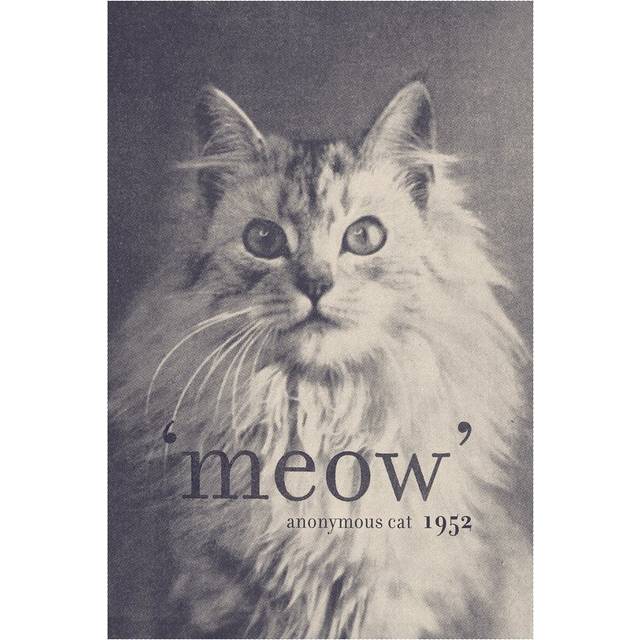 &#39;Famous Quotes (Cat)&#39; Graphic Art on Wrapped Canvas (66.04cm H x 45.72cm W x 1.91cm D)