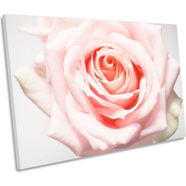 Pink Floral Flower Rose Framed - Wrapped Canvas Art Prints (50.8cm H x 76.2cm W x 2cm D)