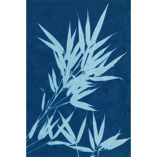 Cyanotype No.1 by Renée W. Stramel - Wrapped Canvas Painting (30cm H x 20cm W)