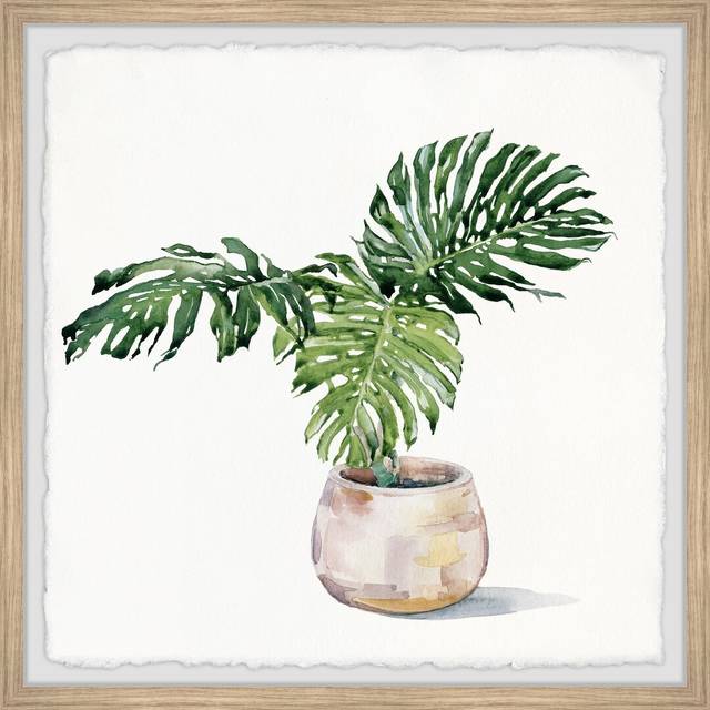'Potted Monstera Deliciosa' Framed Painting (41cm H x 41cm W)