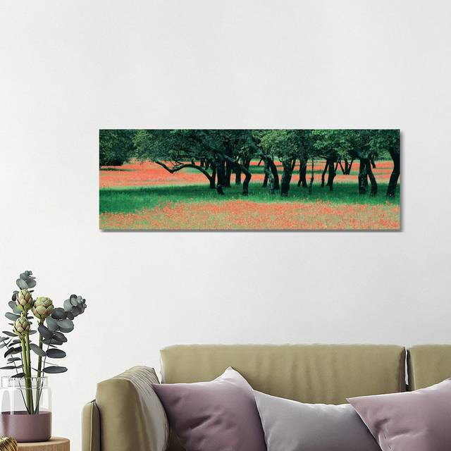 Indian Paintbrushes and Scattered Oaks, Texas Hill Co, Texas, USA - Wrapped Canvas Panoramic Photograph (121.92 cm H x 40.64 cm W x 1.91 cm D)