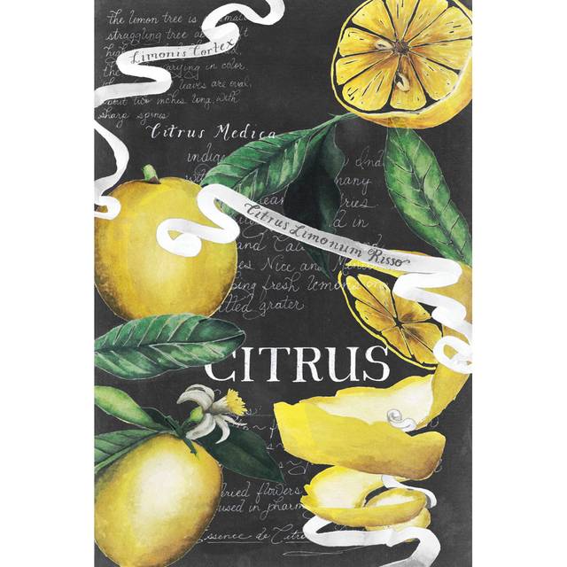 Chalkboard Citrus II by Grace Popp - Wrapped Canvas Advertisement (46cm H x 30cm W x 3.8cm D)