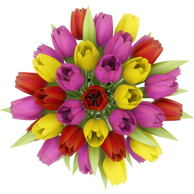 Top View Bouquet of Tulips in Vase Isolated on White - Wrapped Canvas Photograph (122cm H x 122cm W)