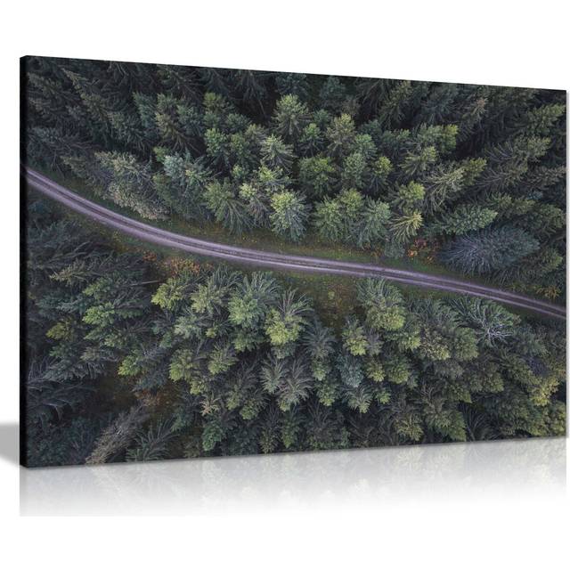 Panther Print Fine Art Prints Long Road & Pine Trees Aerial View Artistic Framed Canvas Print, Pictures For Home Walls, Bedroom, Living Room & Bathroo (51cm H x 76cm W)