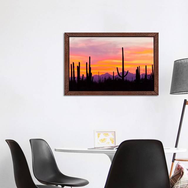 &#39;Saguaro Cacti at Sunset I, Saguaro National Park, Sonoran Desert, Arizona, USA&#39; by Cathy & Gordon Illg - Floater Frame Photograph Print on Canvas - Brown (45.72cm H x 66.04cm W x 3.81cm D)