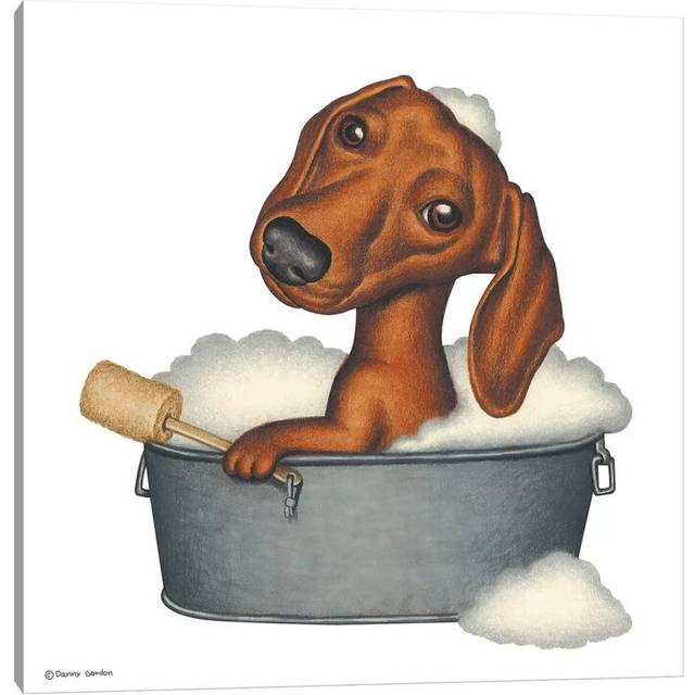 Dachshund Bath by Danny Gordon - Graphic Art Print on Canvas - No Frame (30.48 cm H x 30.48 cm W)