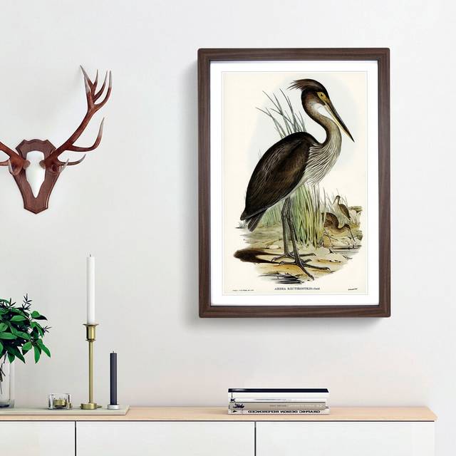 Great-Billed Heron by Elizabeth Gould - Picture Frame Painting Print - Walnut Framed (36cm H x 27cm W x 2cm D)
