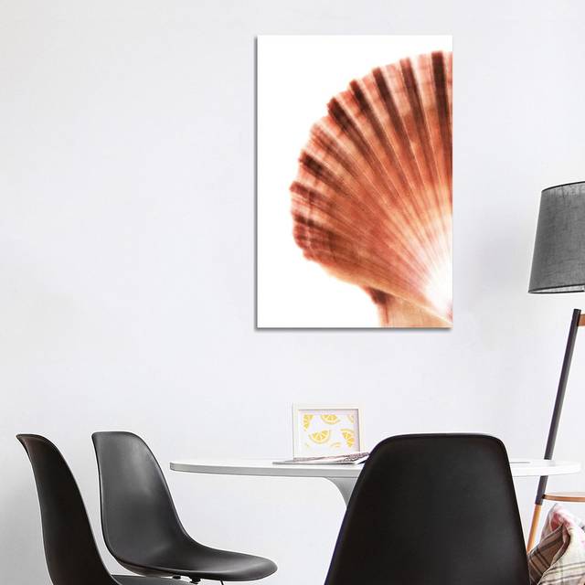 PHD952_Scallop Seashell (101.6cm H x 66.04cm W x 1.9cm D)
