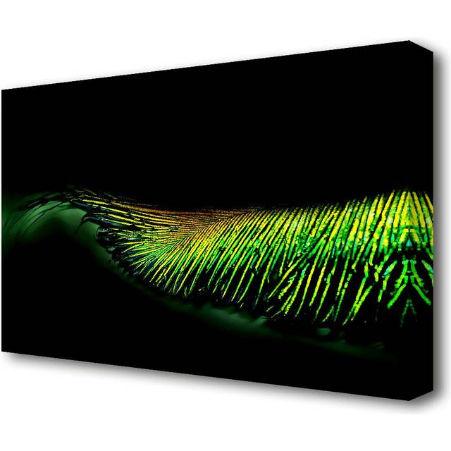 Vibrant Green FeaTher - Wrapped Canvas Graphic Art Print (35.6 cm H x 50.8 cm W)