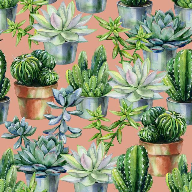 Abelio Cactus and Succulents - Wrapped Canvas Graphic Art (76cm H x 76cm W x 3.8cm D)