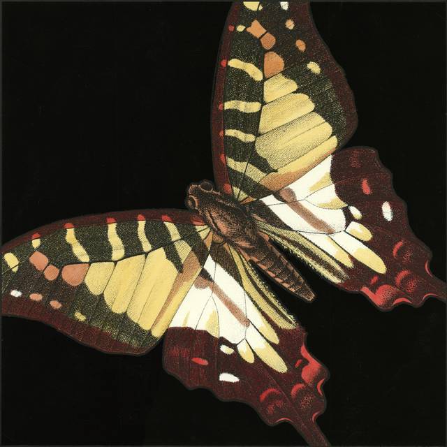 Small Dramatic Butterflies III - Wrapped Canvas Graphic Art (122cm H x 122cm W x 3.8cm D)