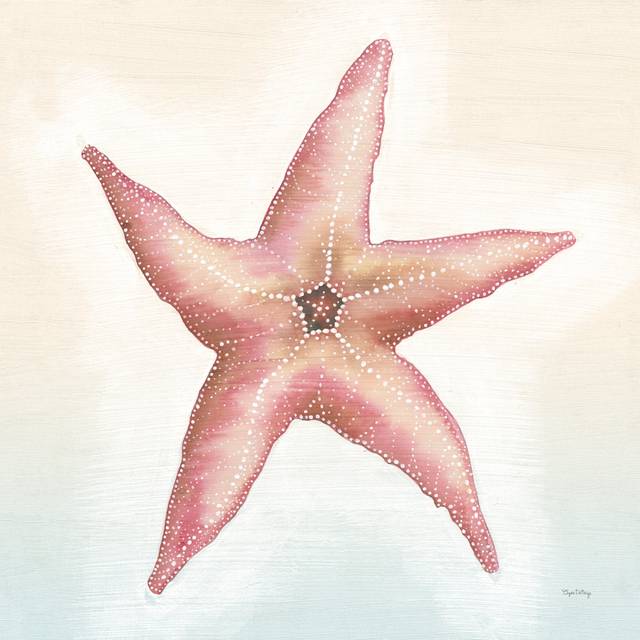 Boardwalk Starfish (51cm H x 51cm W x 3.8cm D)
