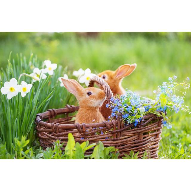 Red Rabbits Outdoor - Wrapped Canvas Photograph (20cm H x 30cm W)