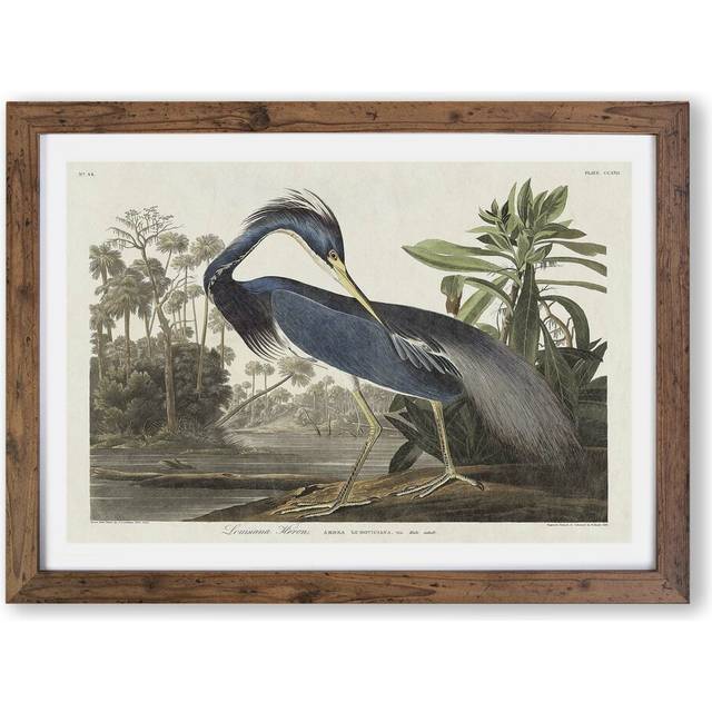 'Louisiana Heron' by John James Audubon - Picture Frame Painting Print on Paper - Walnut (33cm H x 45cm W x 2cm D)