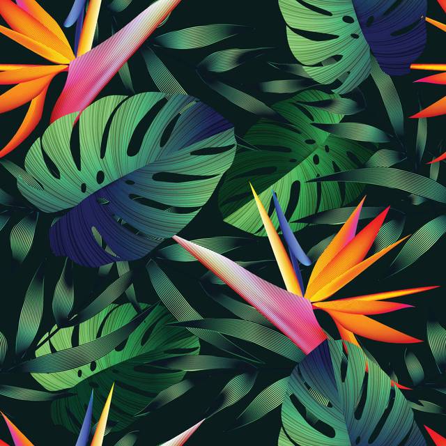 Tropical Flowers, Jungle Leaves, Bird of Paradise Flower. by Zeffir - Wrapped Canvas Graphic Art (51cm H x 51cm W)