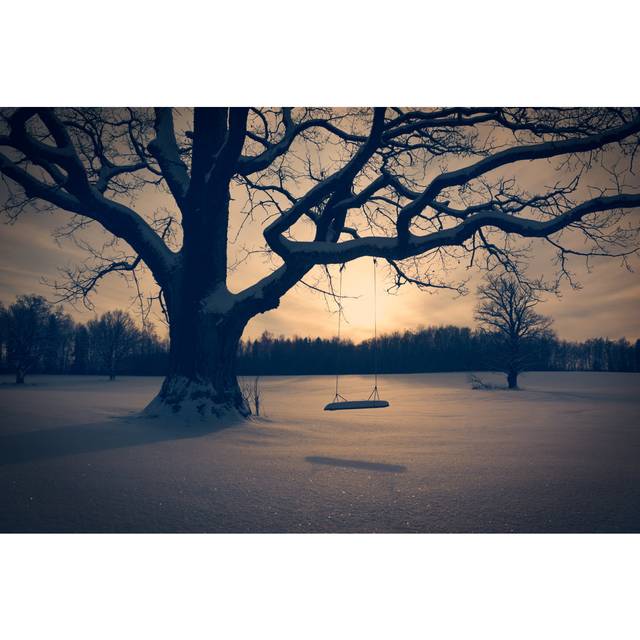 Abandoned Tree Swing by Brickrena - Wrapped Canvas Photograph (30cm H x 46cm W)