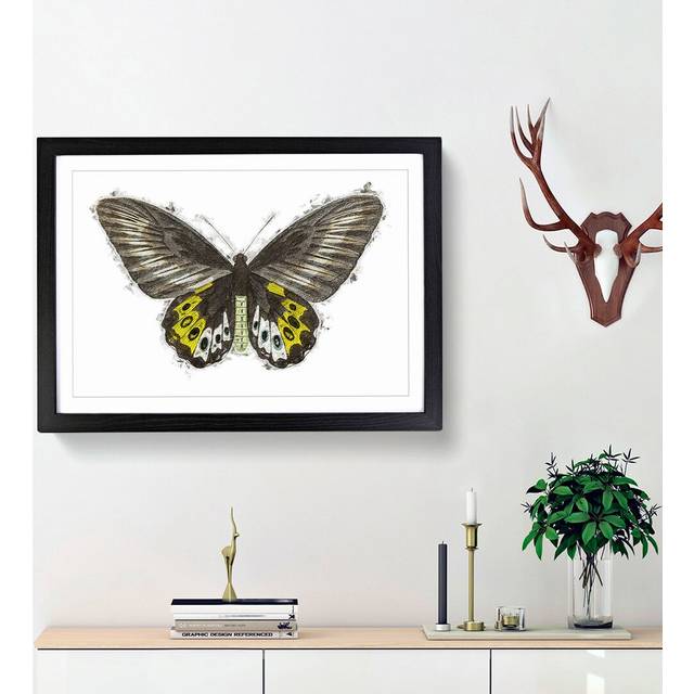 Green Birdwing Butterfly by George Shaw - Picture Frame Painting Print - Black Framed (48cm H x 65cm W x 2cm D)