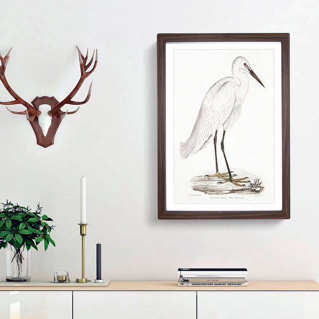 White Heron by John Edward Gray - Picture Frame Painting Print - Walnut Framed (36cm H x 27cm W x 2cm D)