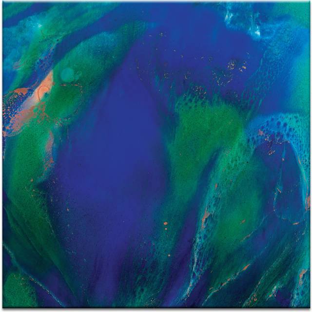&#39;Shake Your Tail Feather&#39; by Olivia Collins Art Print on Wrapped Canvas - Blue;Green (41cm H x 41cm W x 3.8cm D)