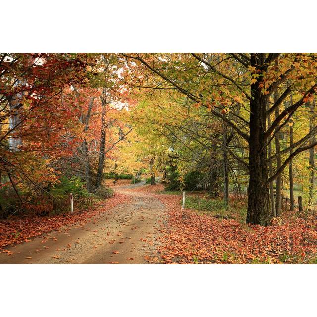 Country Road Meandering Through Trees With Autumn Foliage (61cm H x 91cm W x 3.8cm D)