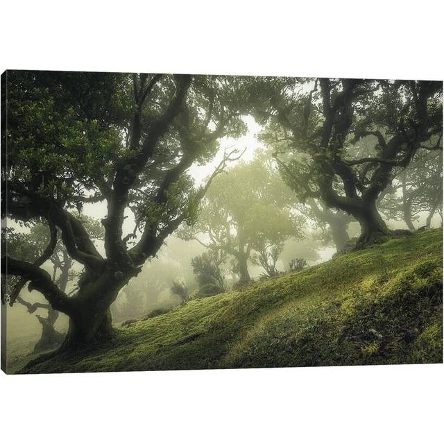 Enchanted Forest by Frans Van Der - Wrapped Canvas Photograph (66.04 cm H x 45.72 cm W x 1.91 cm D)