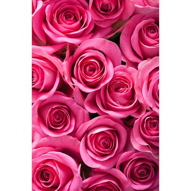 Beautiful Pink Rose Flowers Background by Olgamiltsova - Wrapped Canvas Photograph (30.48cm H x 20.32cm W)