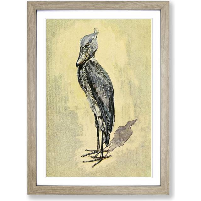 'Vintage Whale-headed Stork' by Harry Johnston Framed Painting Print - Oak (45cm H X 62cm W)