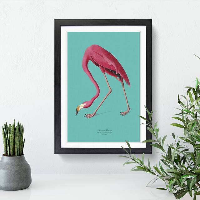 Flamingo in Teal by John Audubon - Picture Frame Graphic Art Print on MDF - Black Framed (48cm H x 36cm W x 2cm D)