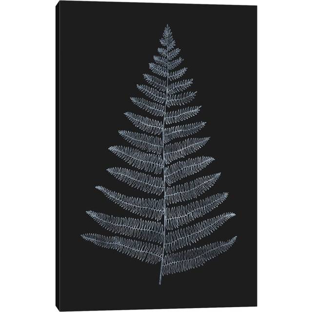 Botanica Minimalistica by Kubistika - Wrapped Canvas Graphic Art (30.48cm H x 20.32cm W x 1.905cm D)