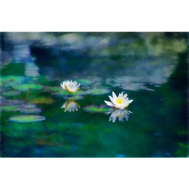 Wolverton Digital Art Paint, Pink Water Lily on the Garden Pond - Wrapped Canvas Graphic Art (20cm H x 30cm W x 3.8cm D)