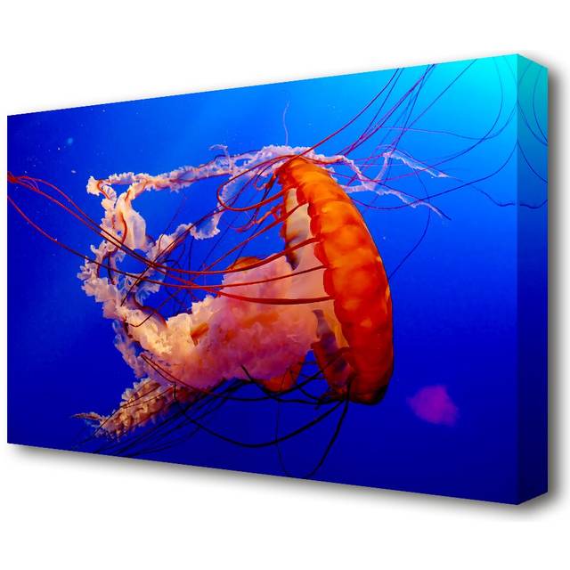 Jellyfish Ocean Wildlife - Wrapped Canvas Photograph Print (35.6 cm H x 50.8 cm W)