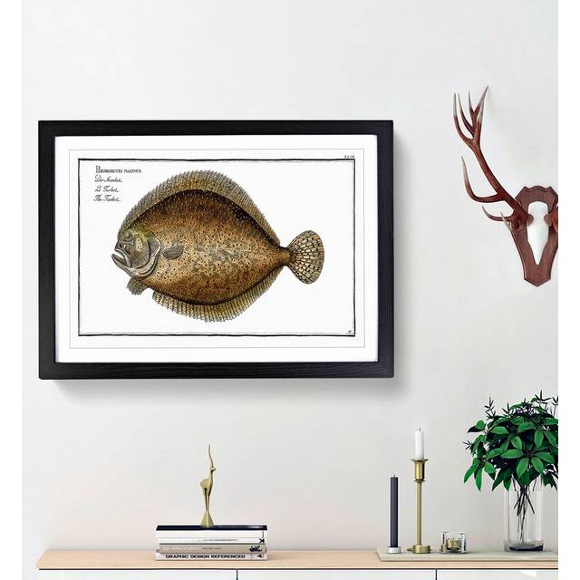 Turbot Fish by M.E. Bloch - Picture Frame Painting Print - Black Framed (48cm H x 65cm W x 2cm D)