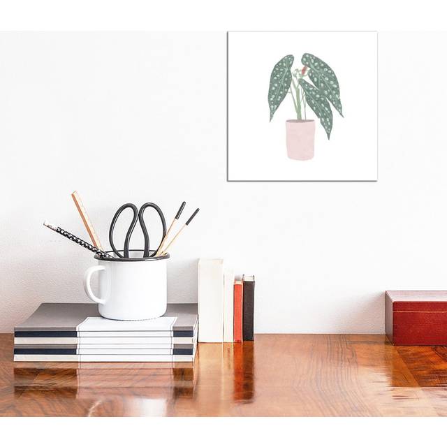 Polka Dot Begonia V by Bannarot - Wrapped Canvas Graphic Art (30.48cm H x 30.48cm W x 1.91cm D)