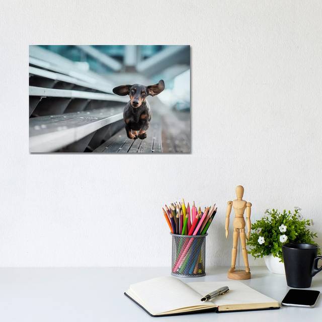 A Little Dog Runs Through the World by Heike Willers - Wrapped Canvas Art Prints (20.32 cm H x 30.48 cm W)